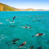 Nature & Wildlife