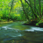 Top Boone activities