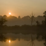 Top Golden Isles activities