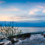 Top Kelleys Island activities