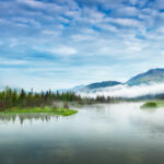 Top Kenai activities
