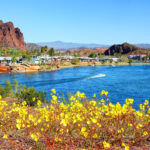 Top Lake Havasu activities