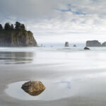 Top Olympic National Park activities