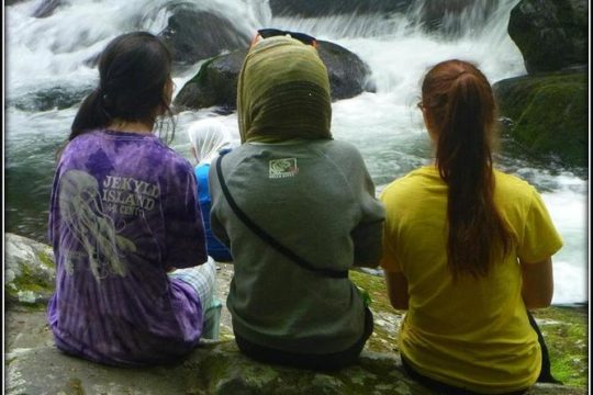 New Year’s Eve in Great Smoky Mountains National Park