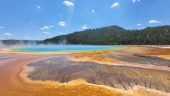 Yellowstone Tour