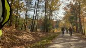 Ride on the Greenland Rail Trail