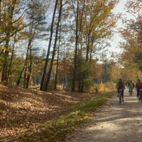Eco Tours