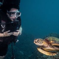 Scuba Diving