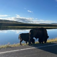 Day Trips & Excursions