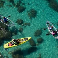 Boat Tours