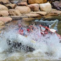 Cruises, Sailing & Water Tours