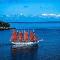 Cruises, Sailing & Water Tours