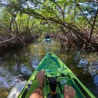 Boat Tours