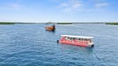 Awesome dolphin experience