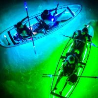 Kayaking & Canoeing