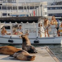 Luxury Tours