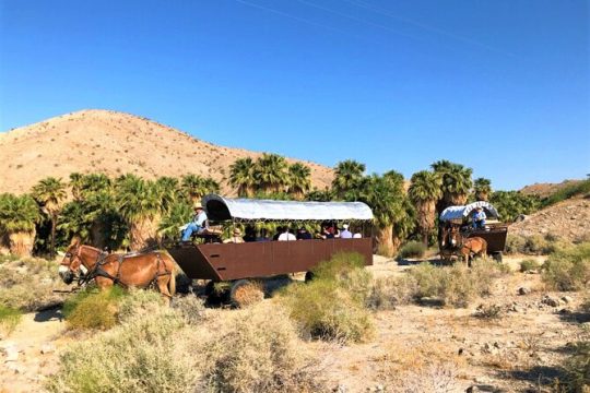 New Year’s Day long weekend in Palm Springs