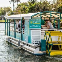 Day Cruises