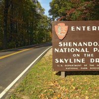 Bus & Minivan Tours