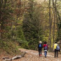 Walking & Biking Tours