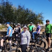 Holiday & Seasonal Tours
