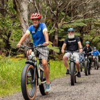 Walking & Biking Tours