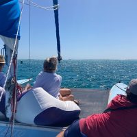 Private Sightseeing Tours