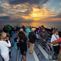 Cultural & Theme Tours
