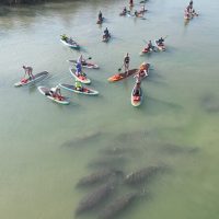 Water Sports