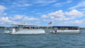 Awesome Dolphin tour 