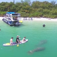 Fishing Charters & Tours