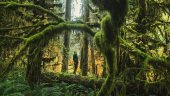 Family trip to Olympic National Park