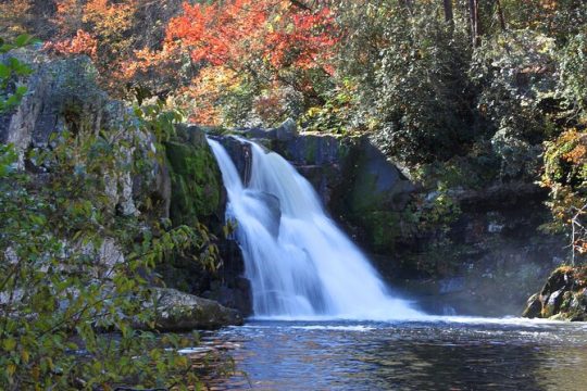 New Year’s Day long weekend in Great Smoky Mountains National Park
