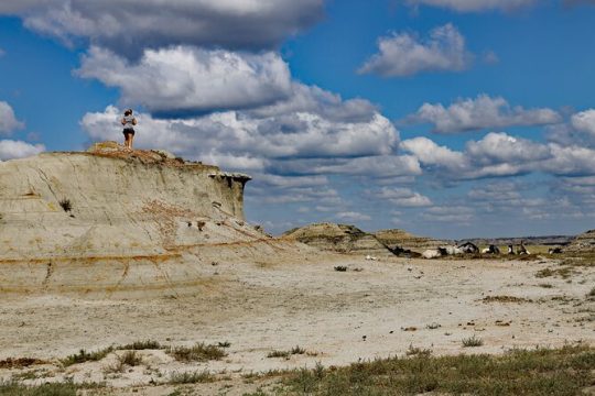 Veteran's Day in North Dakota