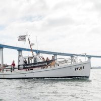 Holiday & Seasonal Tours