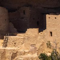 Private & Custom Tours