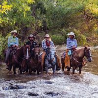 Horseback Riding