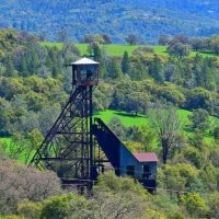 Private Sightseeing Tours