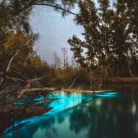 Glass Bottom Boat Tours