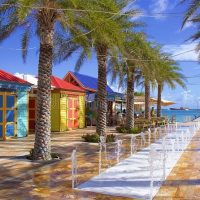 Tours & Sightseeing