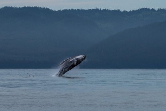 New Year’s Eve in Hoonah