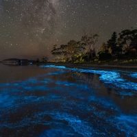 Holiday & Seasonal Tours