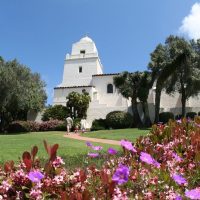 Bus & Minivan Tours