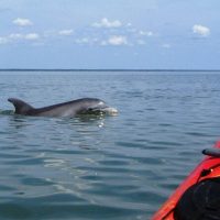 Cruises, Sailing & Water Tours