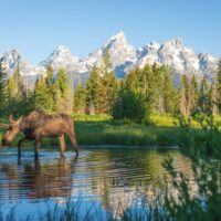 Holiday & Seasonal Tours