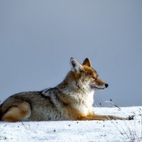 Full-day Tours
