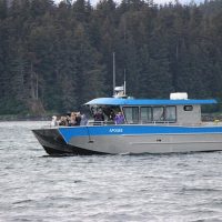 Half-day Tours