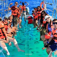 Ports of Call Tours
