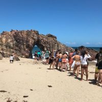 Ziplines