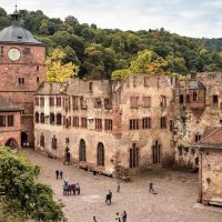 Half-day Tours